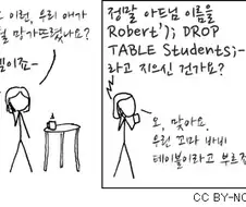 프로그래머만 이해하는 만화