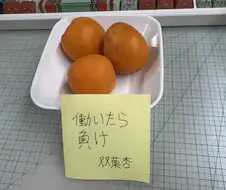 지금이 재철이라 맛있는 과일