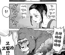 고릴라가 너무 스윗한.manhwa