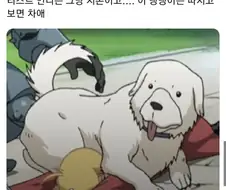 강연금)강철의 연금술사를 본 사람