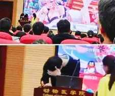 발표는 절대로 개인 컴퓨터로 해서는 안된다