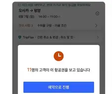 당신이외 11명이 이 항공권을 보고있습니다
