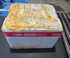 ㅅㅂ 감이 ㅋㅋㅋㅋㅋ 감이 ㅋㅋㅋㅋㅋㅋ