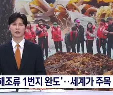 전세계가 주목하는 한국섬