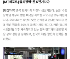 국산 전기차 판매 부진의 이유를 찾은 기자