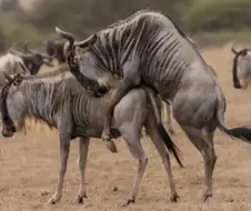 디씨 밖에서 써도 뭐라 안하는 누.jpg