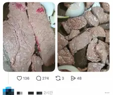 괜히 죽은 소