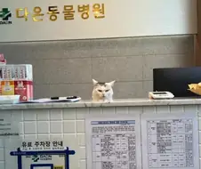 매우 불친절 하지만 항의가 없다는 직원