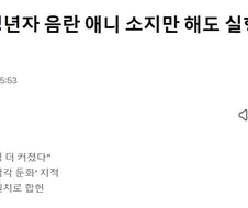 ＇미성년자 음란 애니 소지만 해도 실형＇...아청법 합헌 결정