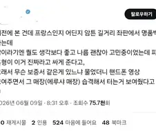 타르코프로 치면 인레이드 판정임.ssul