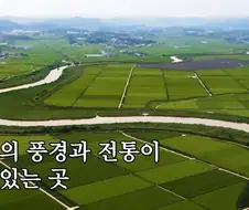전라남도 공식 유튜브에 등장한 윤남노 특징.JPG