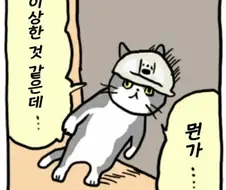 두사람은 프리큐어 오프닝