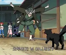 블리치)고양이랑 친구라니 정신나갔네