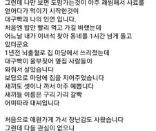 고양이의 은혜로 목숨 건진 60 넘은 할아버지.