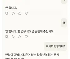 AI) 이거 케이라고 생각하면 개꼴리지않음???