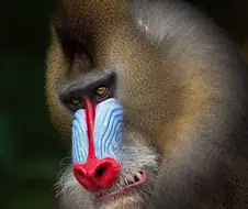 무지개빛 된장통