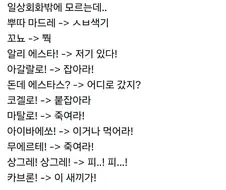 실전 스페인어 학습겜.x