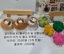 엄마 몰래 BL행사 온 언니....