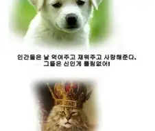 개와 고양이의 차이