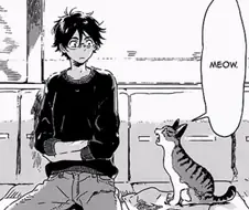 고양이와 친해지는 만화