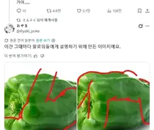 남자 몸을 그릴때 참고하면 좋은 야채