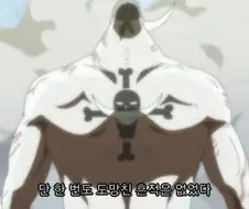 원피스) "단 한번도 도망친 흔적은 없었다"
