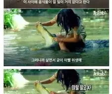 전세계 사람들이 잘못 알고있는 상식.jpg