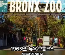 세상에서 가장 위험한 동물.jpg