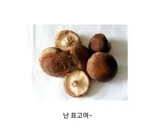 급식시간 초딩을 울리는 눈물의 메뉴