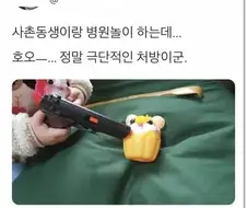 사촌동생의 극단적인 처방