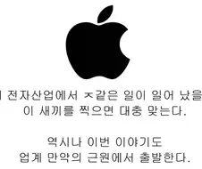 근데 애플 패악질에 대해서 사람들이 확실히 잘 모르는거 같긴 함
