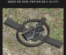 숲 속에서 함부로 주우면 위험한거