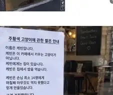 카페에 붙어 있는 현행범 죄목