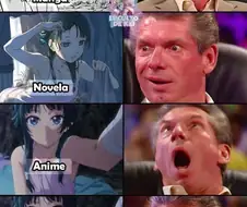 약사의혼잣말) 마오마오 4단 진화