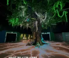 700억 짜리 여수 섬박람회는 어떤 볼거리가 있나
