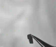 피규어) 아 씨123발 포플 ㅂㅅ들