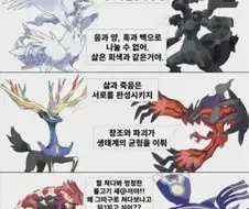 그란돈-가이오가 관계 요약