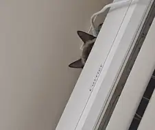 예전에 살던 집 에어컨에는 신박한 기능이 있었다!!!