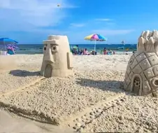 이상기후의 심각성