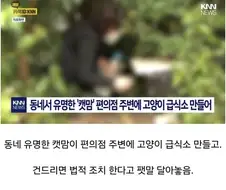 주민간의 총력전으로 길고양이만 신난 상황.jpg