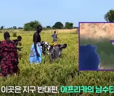 한국 쌀 재배 1티어 국가