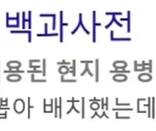 인도인들이 ＇인터넷 매국노＇를 부를때 쓰는 멸칭