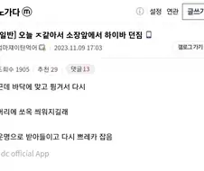 ㅈ같아서 소장앞에서 하이바 집어던짐