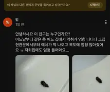 실내에 보이는 순간 ㅈ 된 거라는 벌레
