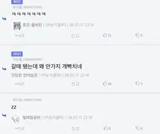 나홀로집에2 비둘기 아주머니 사망소식에 달린 뜻밖에 댓글