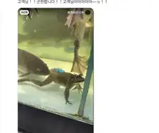 세계는 지금