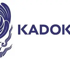 의외로 일본 만화 라노벨 정발 늦어지는 이유 중 은근 발생하는것