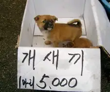 맞는 말인데 표현을 그렇게 하면 당연히