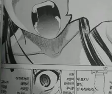 정발 만화 번역 레전드