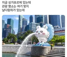 싱가포르 관광명소는 물뿜는 날다람쥐가 맞지?